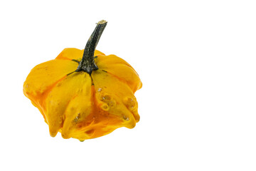 Close up view of yellow pumpkin isolated on white background. Halloween concept.