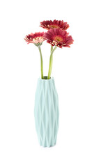 Vase with gerbera flowers on white background