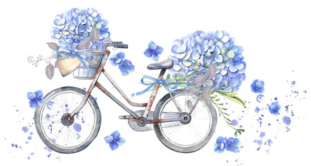Watercolor floral illustration set - blue flowers, green leaf branches garden collection, for wedding stationary, greetings, wallpapers,  background. Hydrangea, Eucalyptus, leaves, bike, bicycle.
