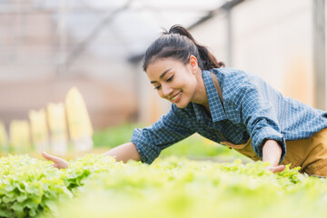 Young asian woman farmer holding basket full of fresh green vegetables salad in hydroponic farm,...