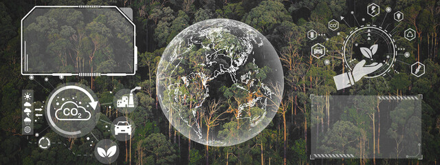 Earth day eco concept with tropical forest tree background, natural forestation preservation scene...