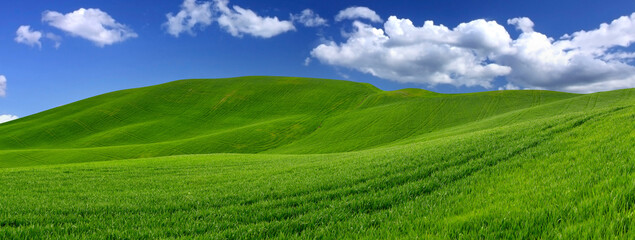 wide panorama of beautiful hilly meadow grass landscape  sunny blue sky cloud background. vibrant spring agriculture concept