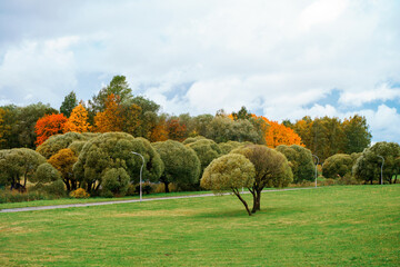 green park with benches and trees
