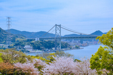 桜咲く春の火の山公園トルコチューリップ園から望む関門海峡