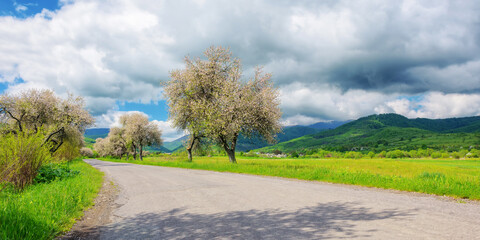 road leads through an idyllic countryside of blooming trees and vast fields, providing a beautiful backdrop for the scenic drive. picturesque view of the majestic mountains and serene countryside