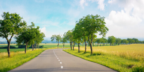 through the beautiful countryside of slovakia, passing by fields and trees. scene in a serene and peaceful ambiance