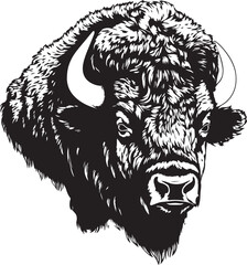 American bison, American bison head, Buffalo Vector  illustration, SVG