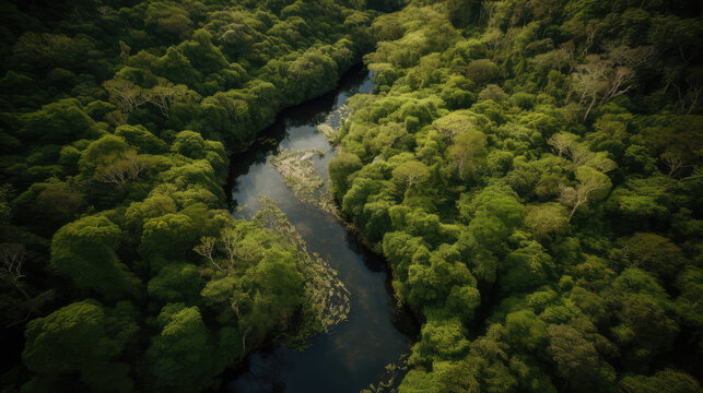 Small river meandering between the green trees of a beautiful forest. Top down drone shot. Generative AI.