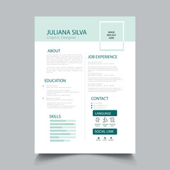 Professional Resume cv Layout template
