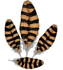 Watercolor set of feathers - stock illustration