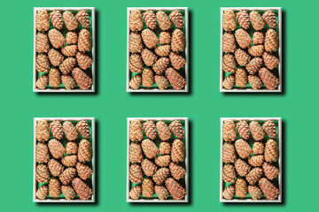 The frame of the picture is made of cedar cones. Healthy food and diet food. Art from natural objects. Pattern