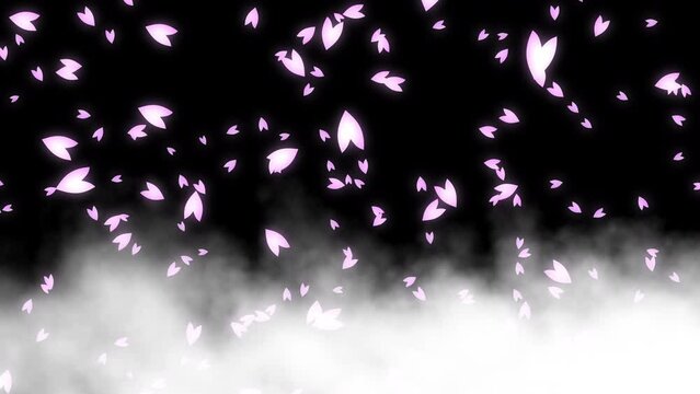 Pink cherry petals falling on white clouds flowing slowly from right to left on black background. Spring scene in Japan. Abstract background. Motion graphic.