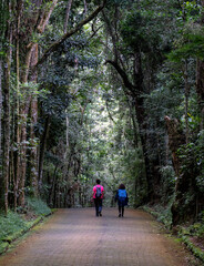 Two women trekking through dense jungle on a footpath