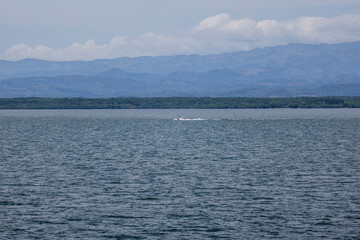 cruzando el oceano en Costa Rica 