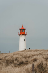 lighthouse on the coast