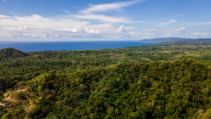 Jungle of Costa Rica, pura vida