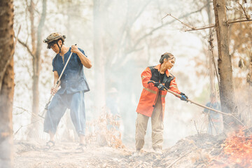 Volunteers fire fighting team people are extinguishing forest fires in dry forest tree hot summer...