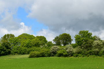 Fototapeta na wymiar Flurgehölze, Felder, Beginn der Weißdornblüte an einem Hang am Rande des Ampertals bei Helfenbrunn. Wolken, Wolkenhimmel, Wolkenformen Wolkenstimmung im Mai