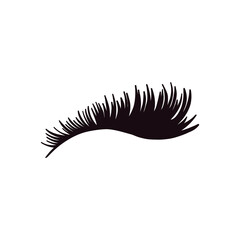 Black Lash Extensions