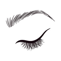 Female Eyes Lashes Brows Drawing