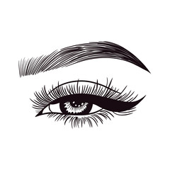 Female Sexy Eyes Lashes Brows Drawing