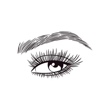 recommend clip art: Female Natural Eyes Lashes Brows
