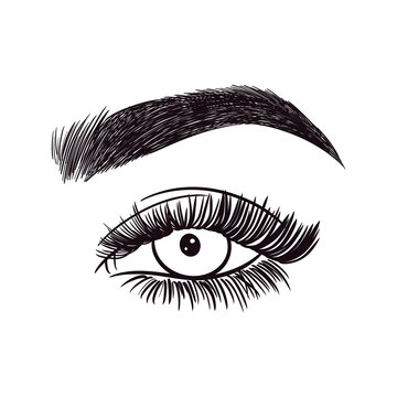 recommend clip art: Sexy Eyes Lashes Brows