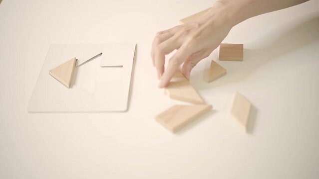 cognitive rehabilitatin brain training and exercise