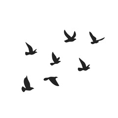 Vector silhouette of a flying bird  - obrazy, fototapety, plakaty