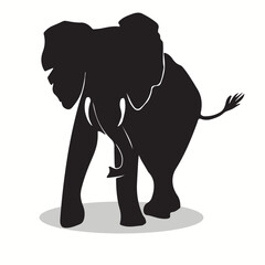 Elephant silhouettes and icons. Black flat color simple elegant Elephant animal vector and illustration.