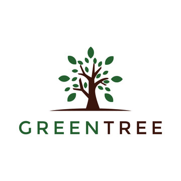 Tree logo design vector. Plant Logo design vector nature illustration
