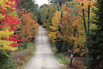 Fototapeta na wymiar Backcountry dirt road in the fall/autumn.