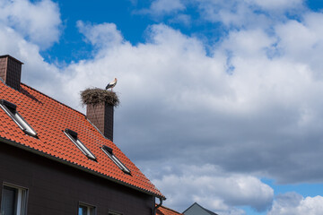 Stork´s nest with a stork on the chimney of a gable roof