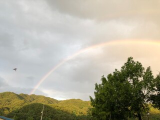 rainbow
