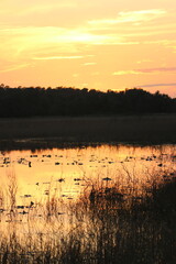 Sunset at Hopkins Prairie