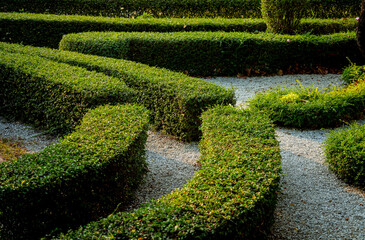 Luxury landscape design of the tropical garden.