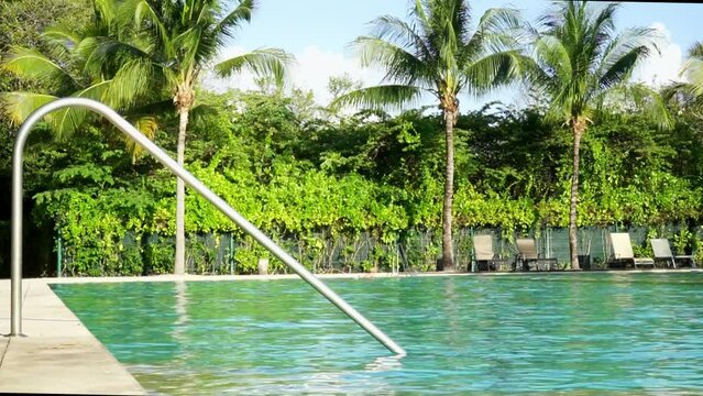 HD video of an outdoor pool surrounded by palm trees and lush vegetation. Get a tan in the sun or take a refreshing dip while a sportsman works out in the sparkling water. Ideal for summer and tropica