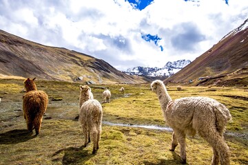 Peru