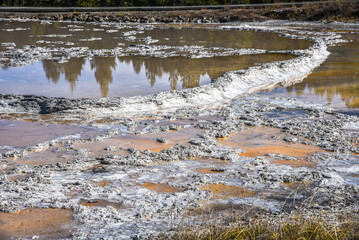 Yellowstone Hot Springs Geyser