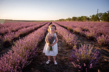 Close-up portrait of little girl in flower dress holding bouquet with purple lavender at sunset. Child stands among the rows in field. Walk in countryside. Allergy concept. Natural products, perfumery