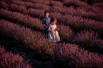 Playful little cute couple boy girl walk on purple lavender flower meadow field background, have fun, enjoy good sunny day. Excited small kids. Family day, children, childhood lifestyle concept