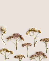 Autumn, fall concept. Minimal aesthetic autumn top view with dry flowers on pastel beige...