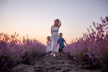 Little son daughter play catch up around mother in rows of purple lavender field. Cute, cheerful...