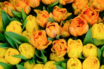 Obraz na płótnie Canvas Set of bouquets of tulips of different colors in a street stall selling flowers, Estonia.