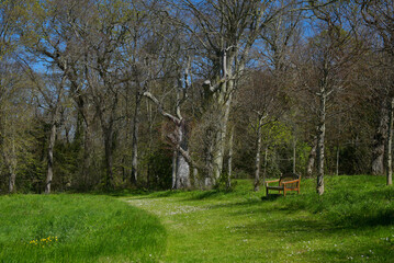 Végétation et banc publique - Parc de la Briantais à Saint-Malo