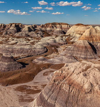 The Winding Paths at Petrified Forest