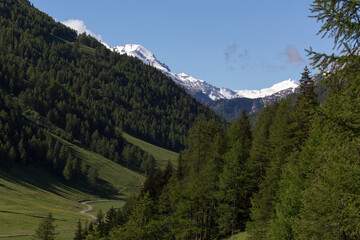 A view of mountain during spring