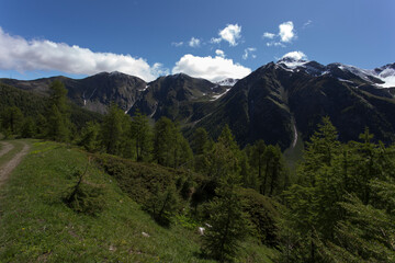 Fototapeta premium A view of mountain during spring