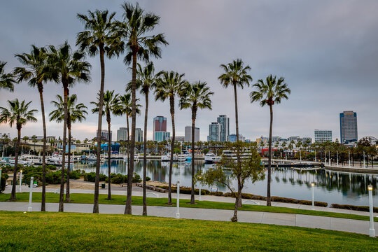 The Long Beach skyline from Shoreline Aquatic Park
