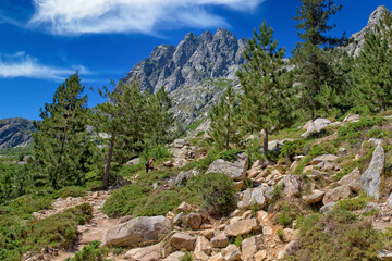 Fototapeta na wymiar Woman hikes with dog in Restonica valley. View of the peaks of the Restonica mountains and a hiking trail where a young woman is walking with a dog, Lac du Melu, Corsica island, France
